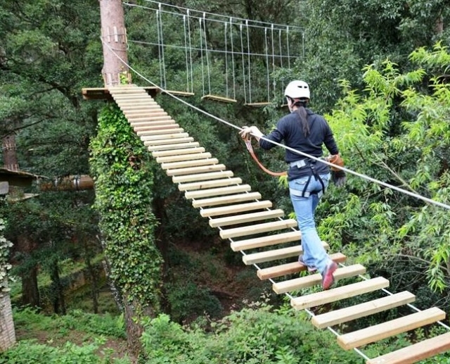 Aventura nas árvores